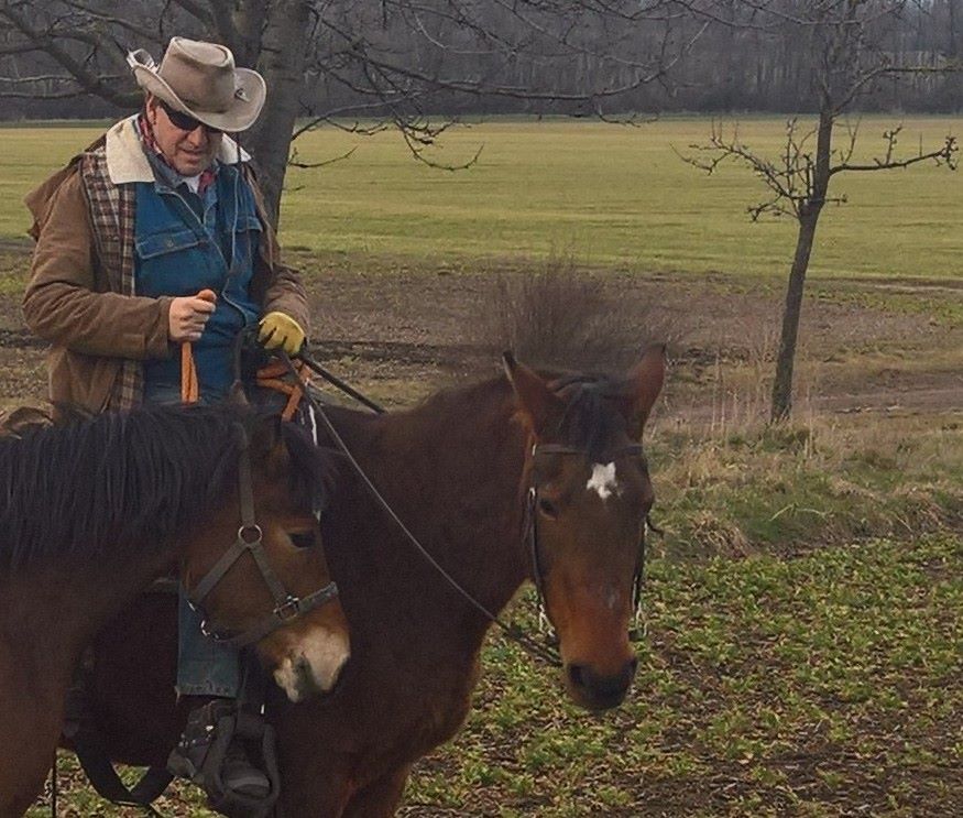 Pferde Freiheit, 2018