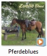 Pferdeblues